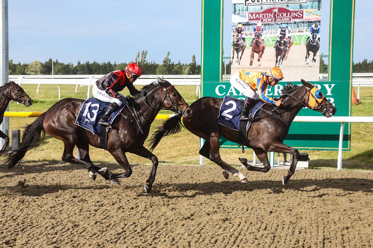 5 Wins in 24 Hrs - Cognoscenti You Cracker