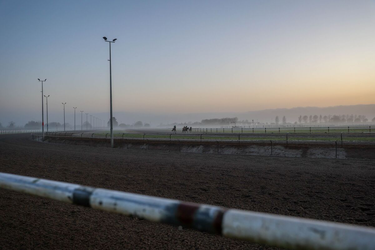 Te Akau NZ NI Midweek Trackwork