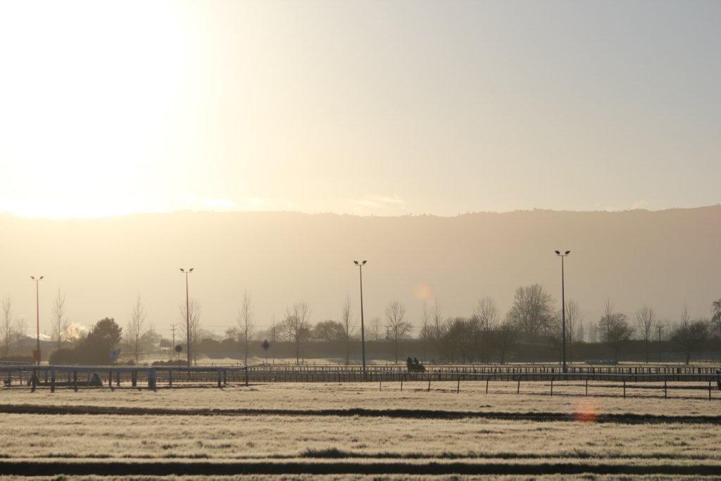 Te Akau Midweek Trackwork