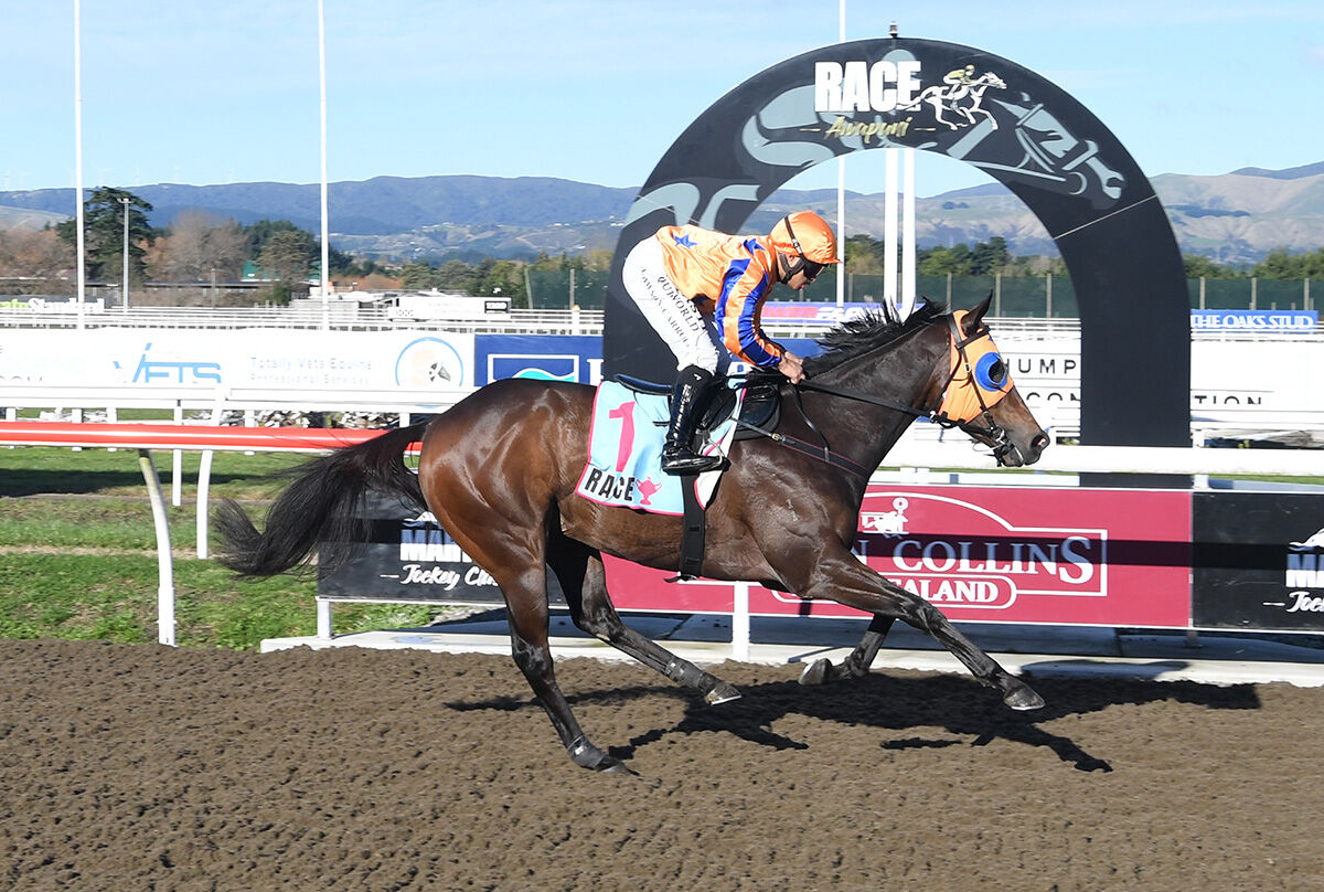 Te Akau Cambridge Midweek Preview