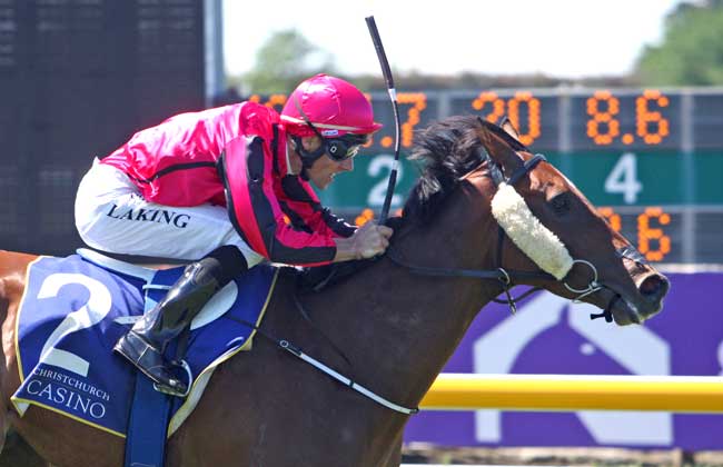 Te Akau Te Aroha Sunday Preview