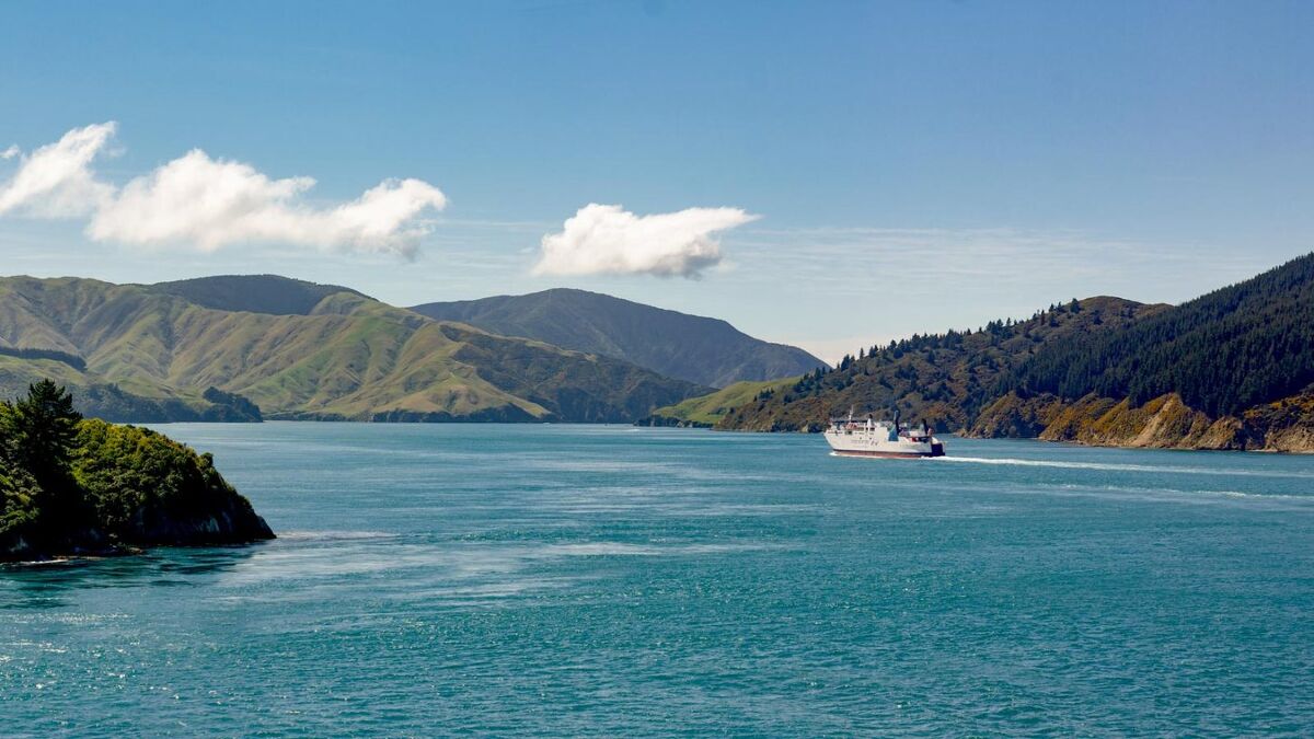Te Akau Inter-Island Saturday Preview