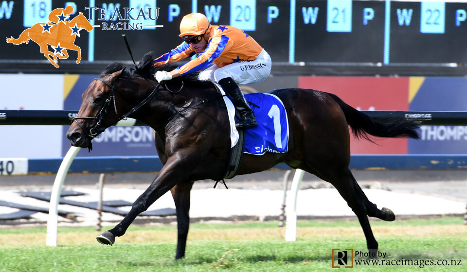 Te Akau Ellerslie Saturday Preview