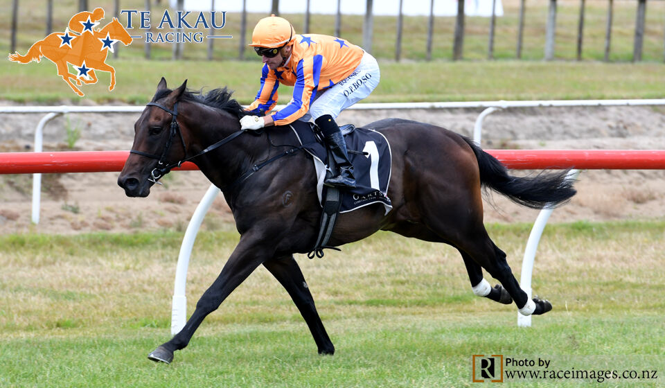 Te Akau Tauranga Saturday Preview