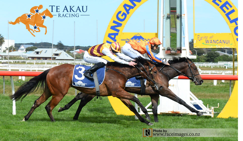 Te Akau Saturday North Island Preview