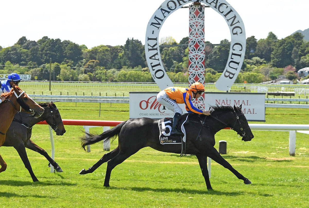 Cool Az, Cool Does