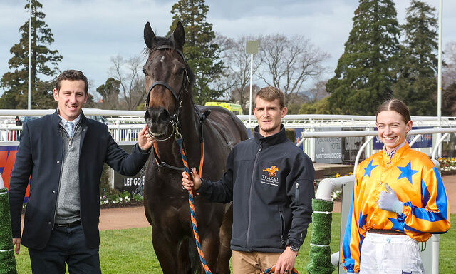 WINNER: Cool & Commanding