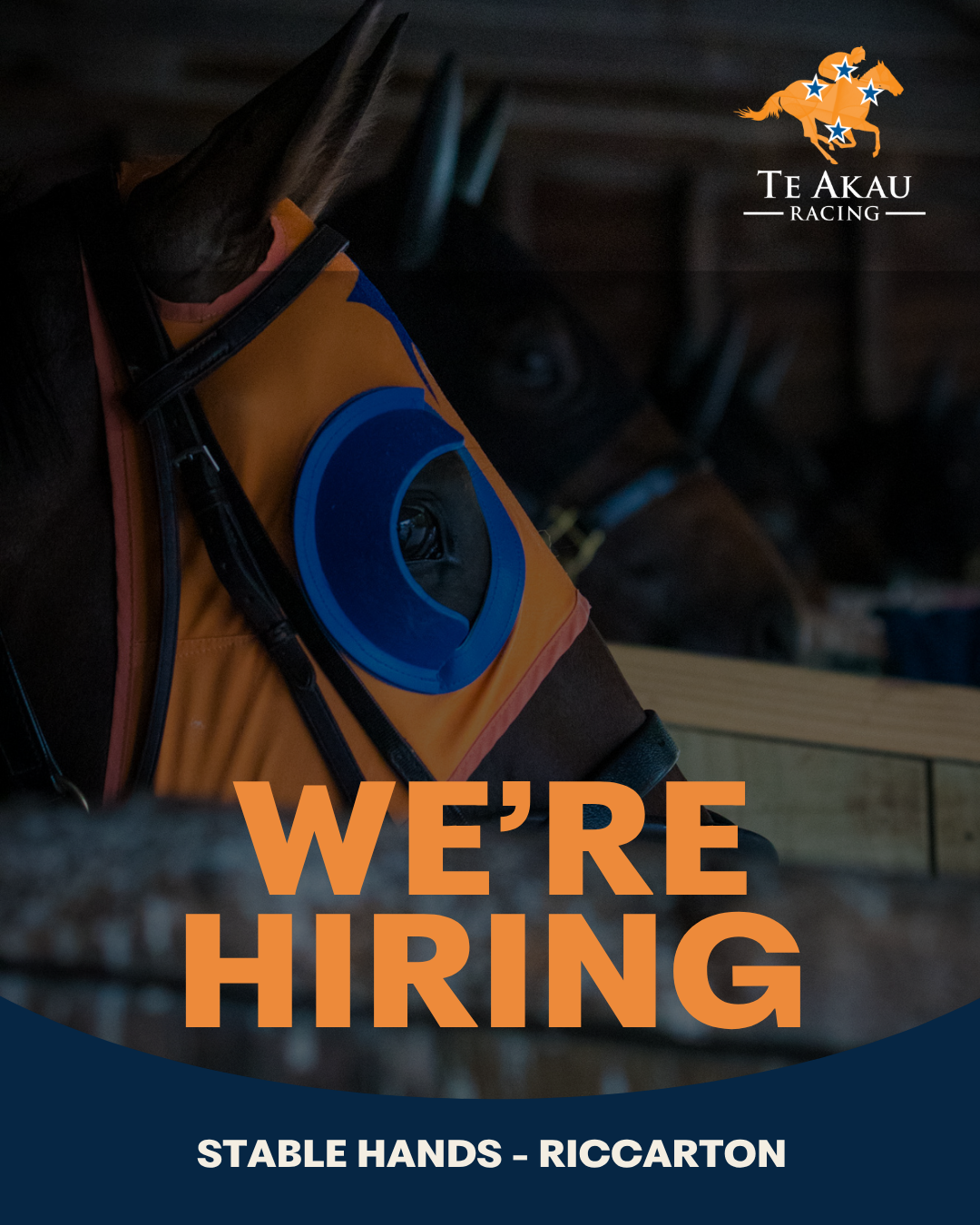 CAREERS: Te Akau Riccarton Is Hiring - Stable Hands Wanted