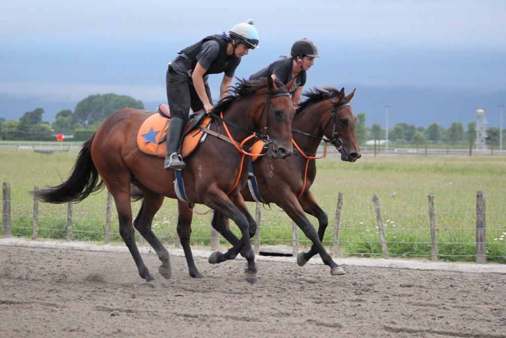 Te Akau Team Spotlight