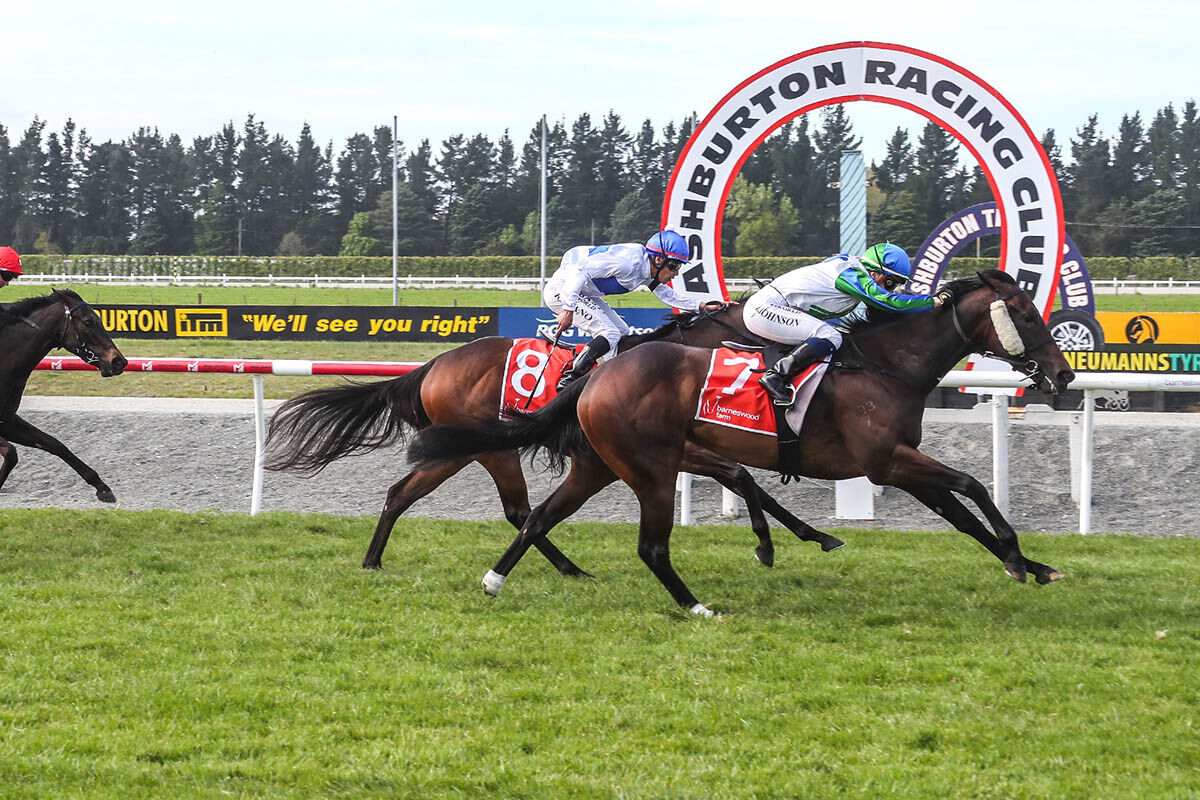 Cornflower Blue - Gem of a Win