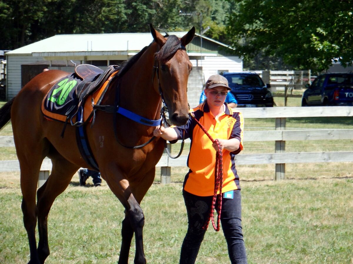 Te Akau Te Aroha Preview