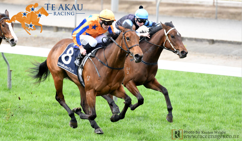 Corporate Missile Cruises Home