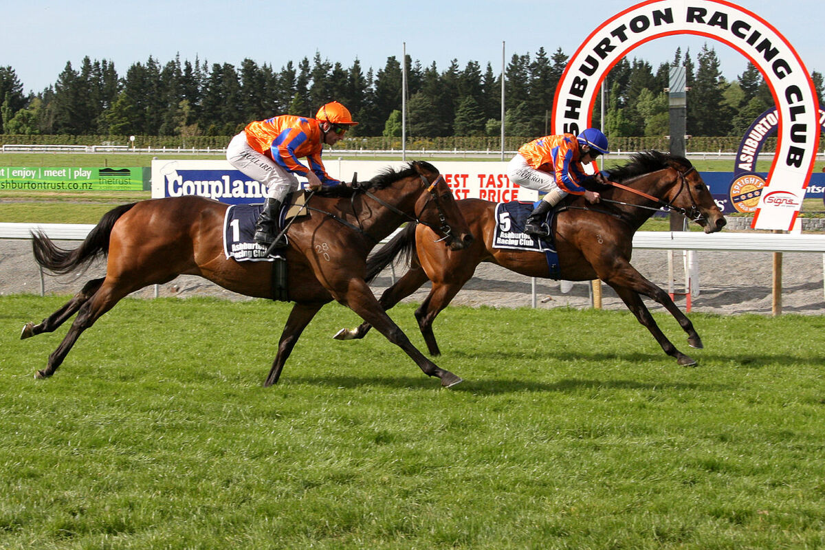 Te Akau South Trackwork