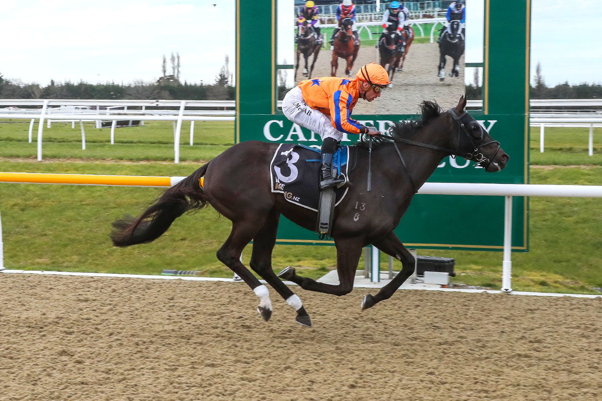 Riccarton Treble - Cote De Beaune Brilliant