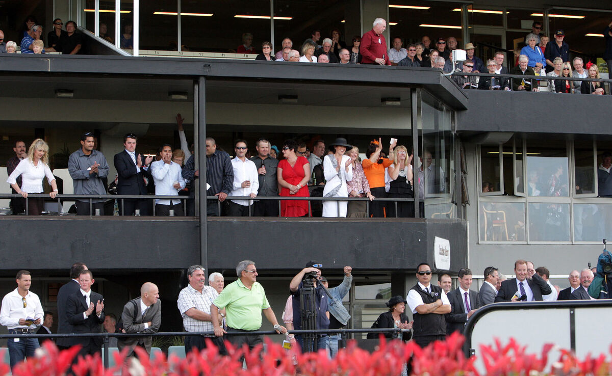 Te Akau Pukekohe Friday Preview