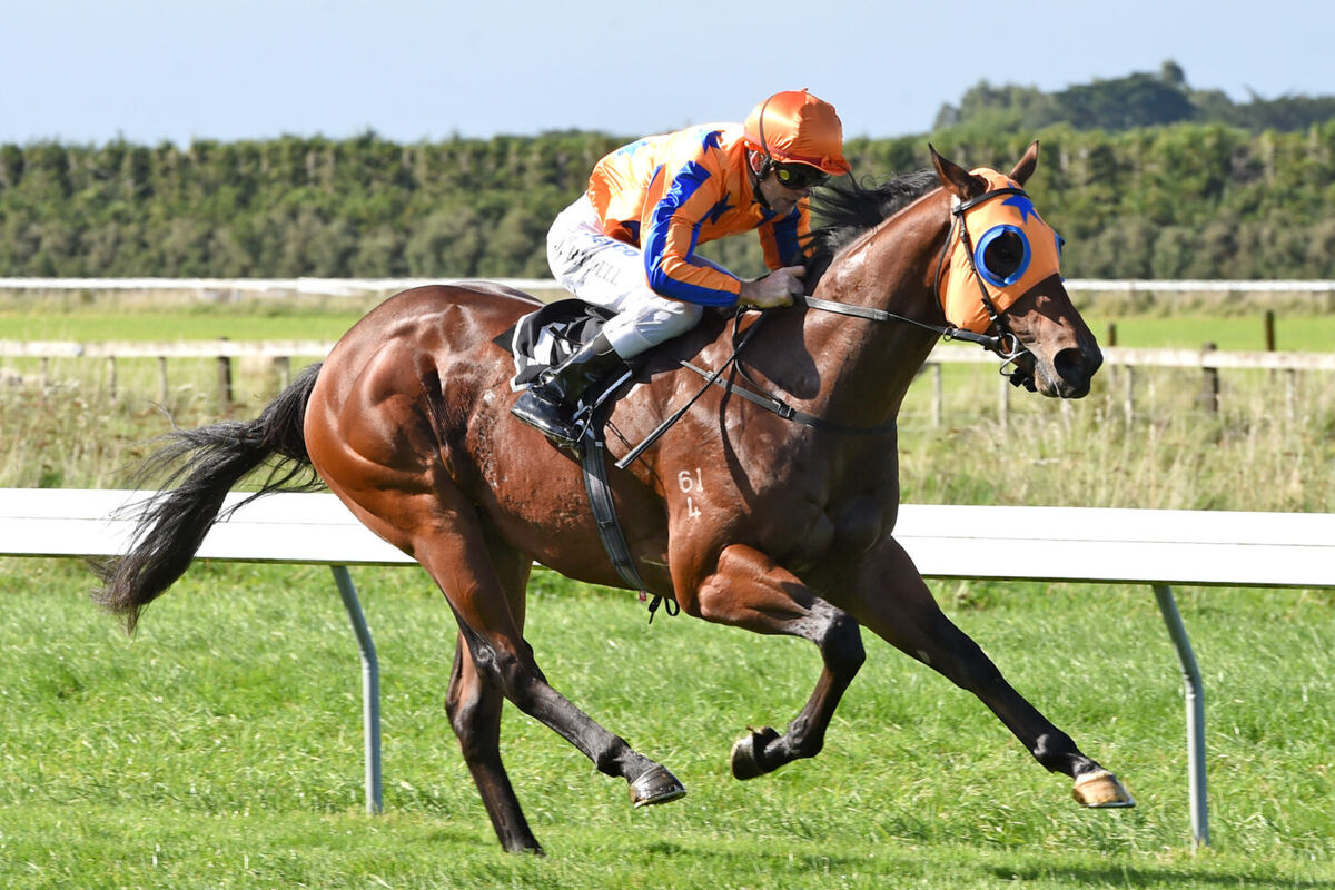 Cousteau Coasts Home