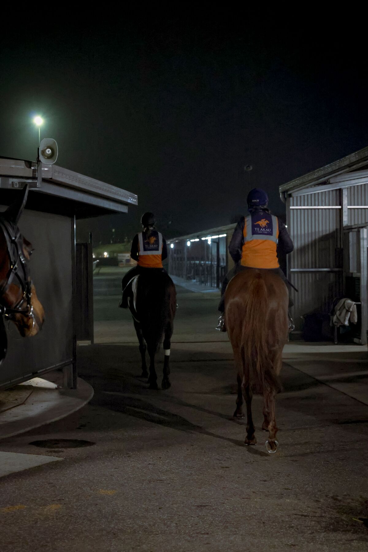 Te Akau Trans Tasman Tuesday Trackwork