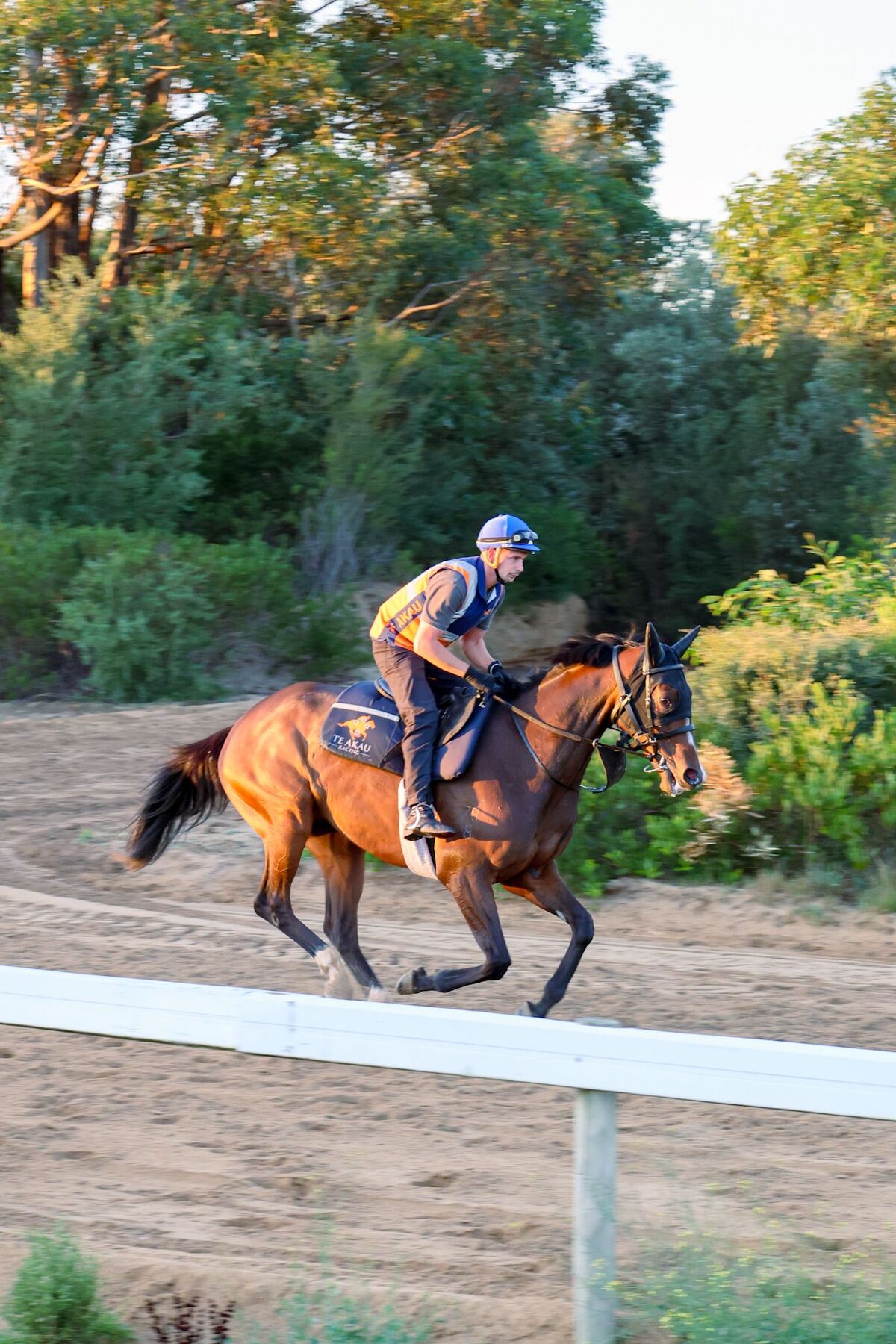 Te Akau Trans Tasman Saturday Trackwork
