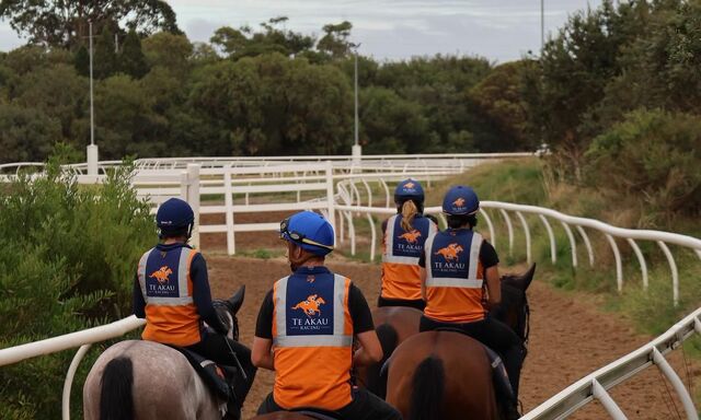 Te Akau Trans Tasman Tuesday Trackwork