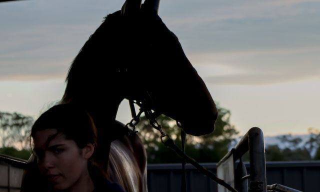Te Akau Trans Tasman Saturday Trackwork