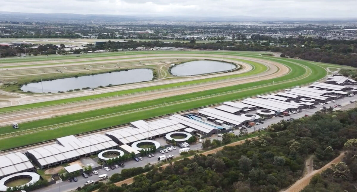 Te Akau Trans Tasman Thursday Trackwork