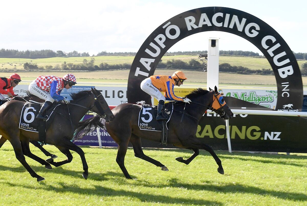 Taupo Double - Proud of the Princess