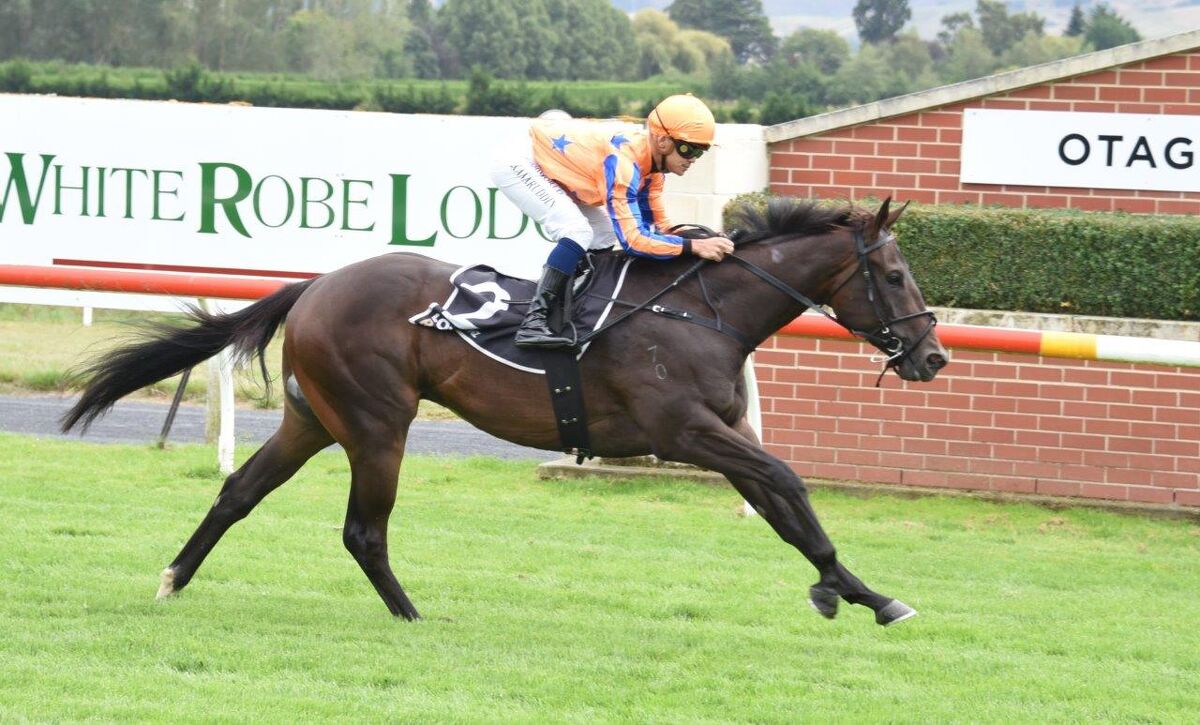 Three Win Saturday - Cu Chulainn Chops Them Down