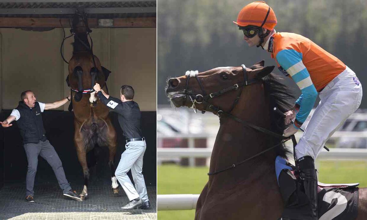 Frankel's First to Race a Winner