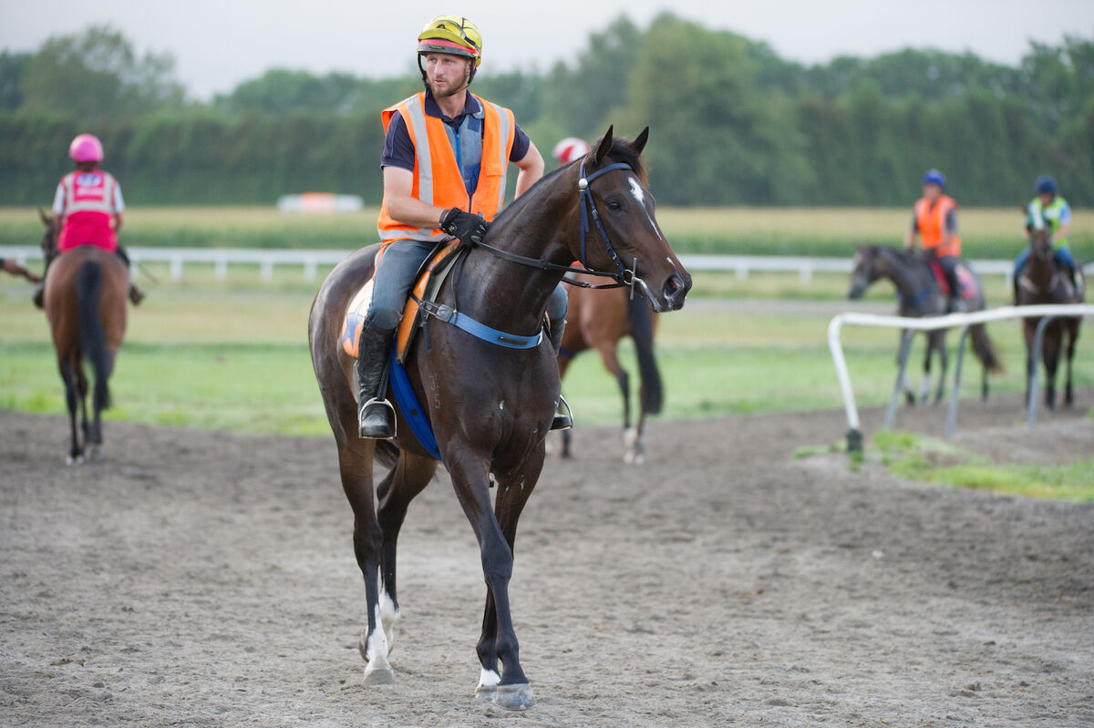 Te Akau Tuesday Trackwork