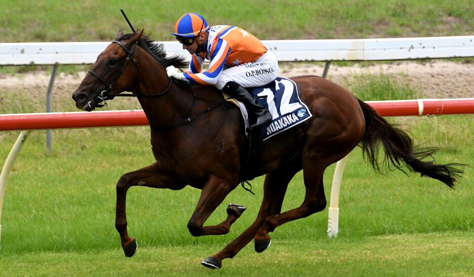 Dancarina Dashes Home