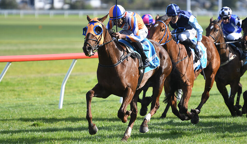 3 Win Wednesday - Dancarina Waltzes Home