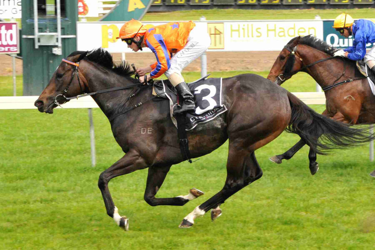 Te Akau: Te Akau Wednesday Trackwork