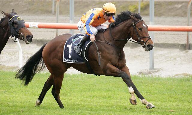 Winner: Dare to Proisir Perfect