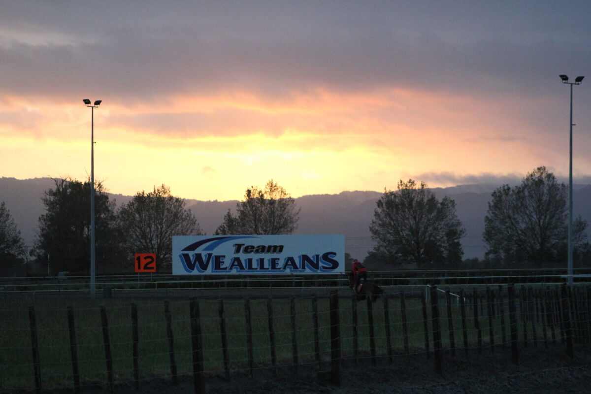 Te Akau Tuesday Trans Tasman Trackwork