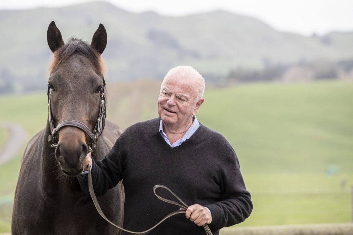 David Ellis - Karaka's Leading Buyer Again