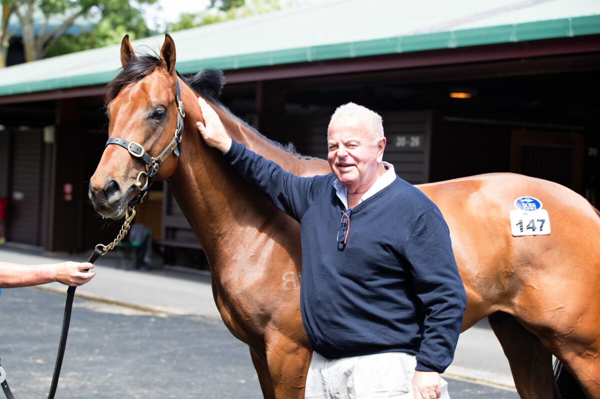 King of the Karaka Ring: David Ellis