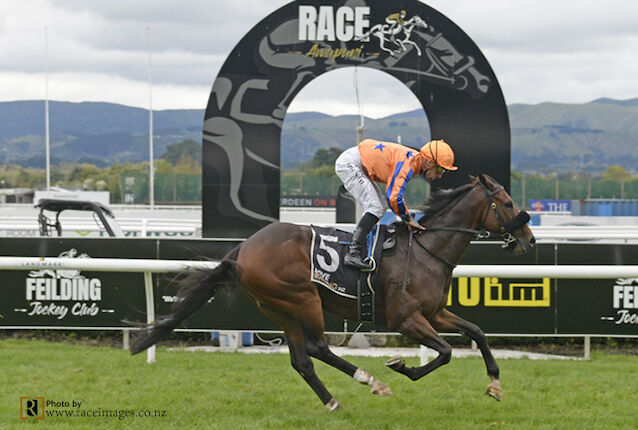 Awapuni Double - Devoted Dashing