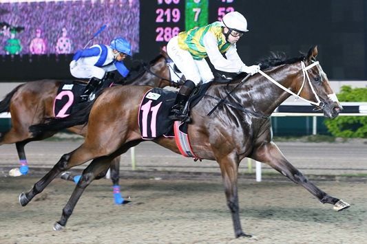 Walker Aiming Higher with Distinctive Darci