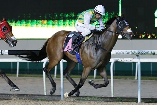 Distinctive Darci Back to Winning Ways
