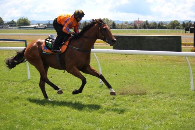 Te Akau Rotorua Trials' Report