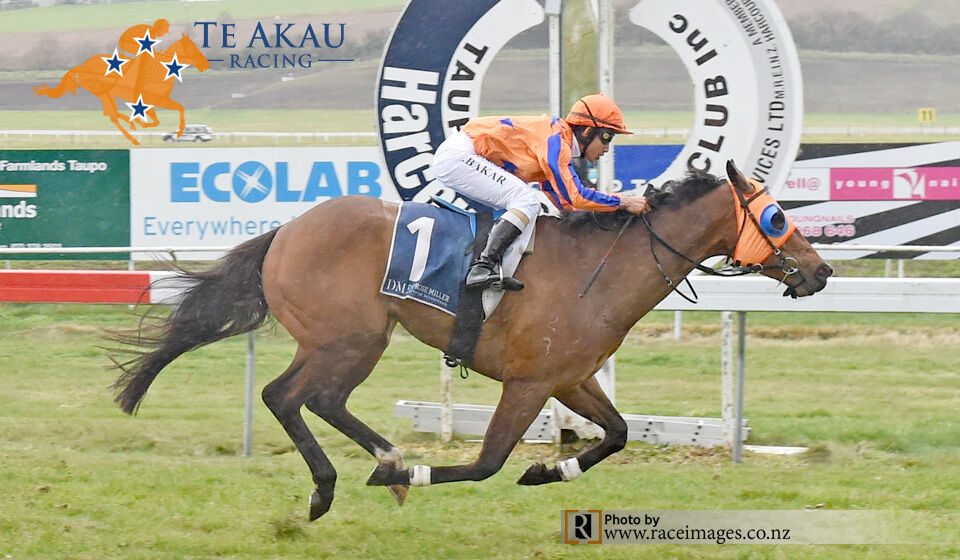 Ta Akau Taupo Preview