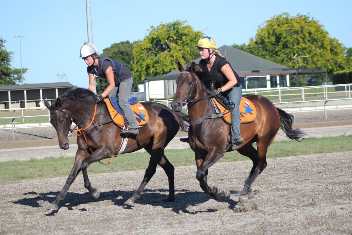 Matamata Thursday Trackwork