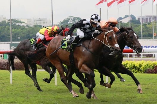 Newcomer Shows True Grit