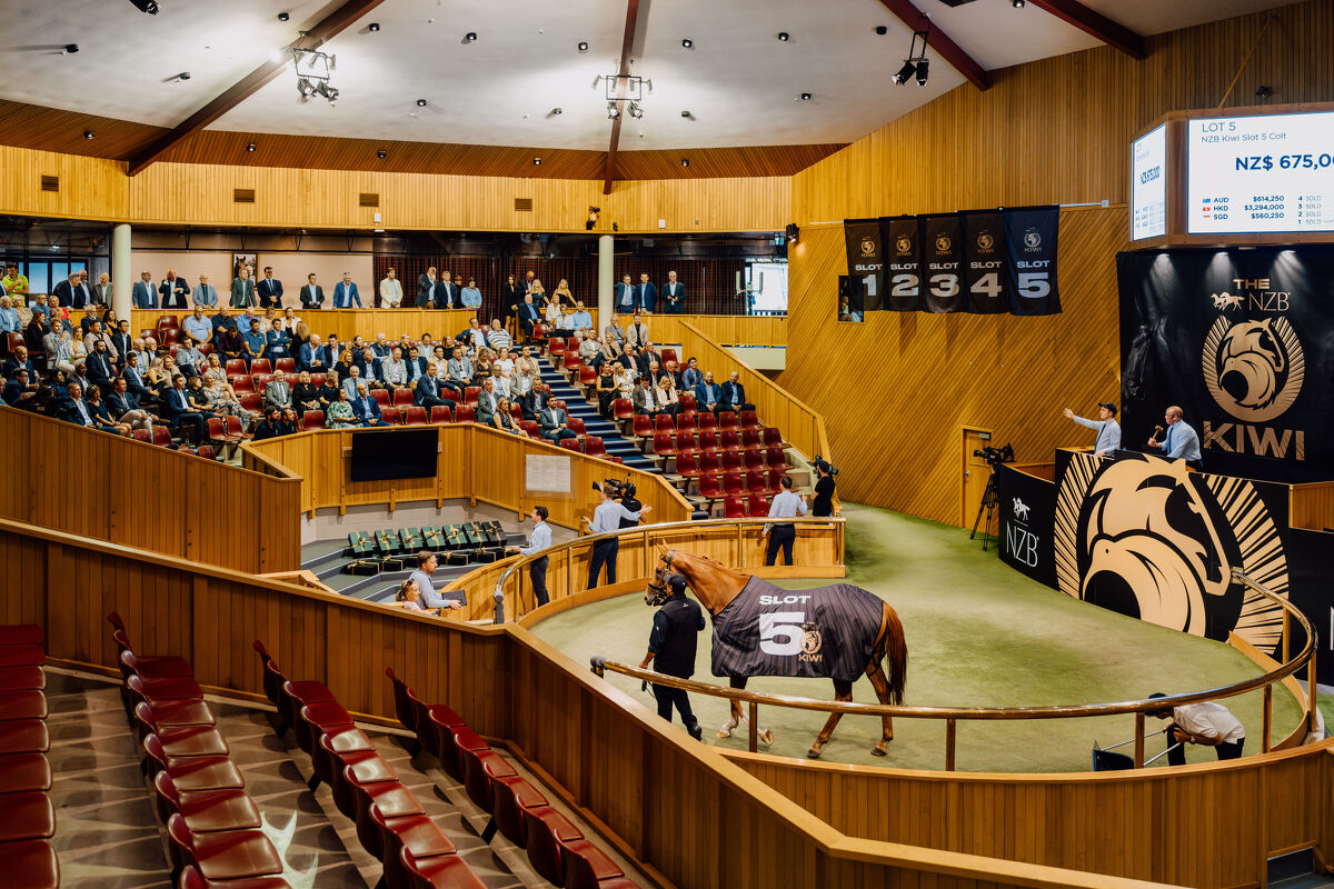 Te Akau Secures NZB Kiwi Slot