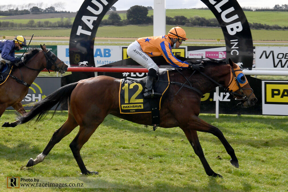 Te Akau Taupo Friday Preview