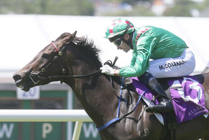 Duchess Oaks' Bound