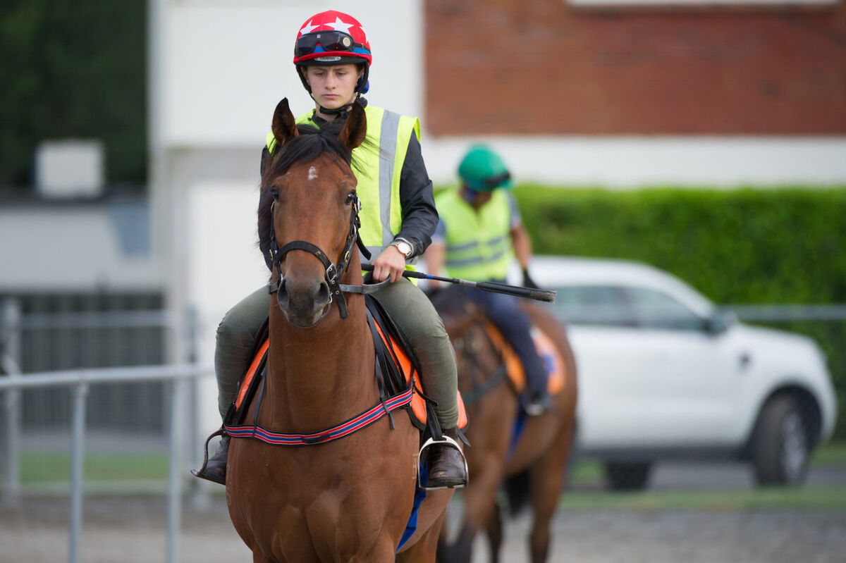 Te Akau Tuesday Trackwork