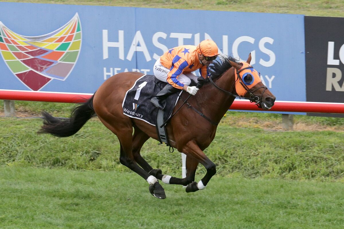 Te Akau North, South & Melbourne Midweek Preview