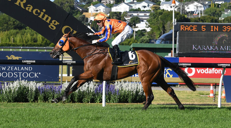 Dynastic Tipped To Be Too Strong