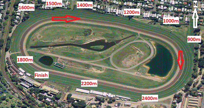 Te Akau NZ Saturday Preview